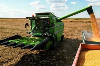 Este año los niveles récord de precios internacionales permitirían compensar la disminución de la producción argentina y resultar en una nueva contribución récord del sector a los principales agregados económicos