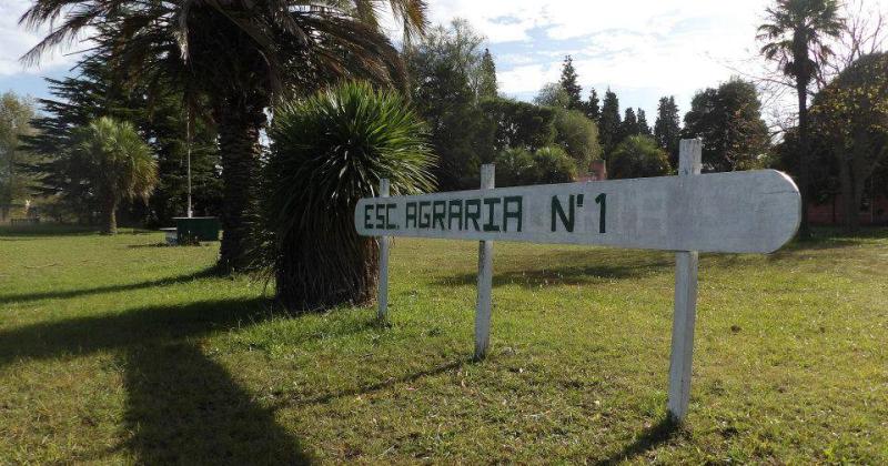 La Escuela Agraria entregaraacute membrillos