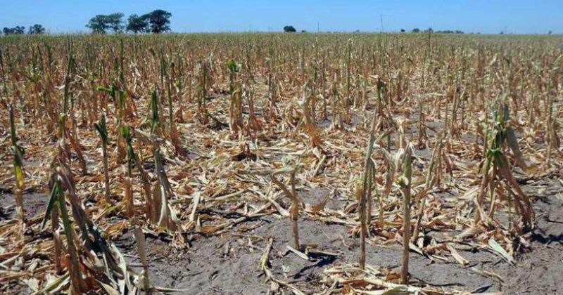 Se espera el inicio de una temporada seca pero llegariacutean importantes lluvias esta semana