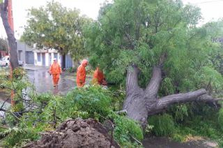 Varias ciudades de la provincia afectadas por el temporal