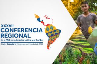 Del 28 de marzo al 01 de abril la capital ecuatoriana Quito ser� testigo de las discusiones regionales que señalar�n las prioridades de la región y el programa de cooperación de la FAO para los próximos dos años-Télam