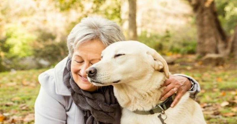 El efecto protector de las mascotas en el cerebro de los adultos mayores