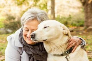 El efecto protector de las mascotas en el cerebro de los adultos mayores