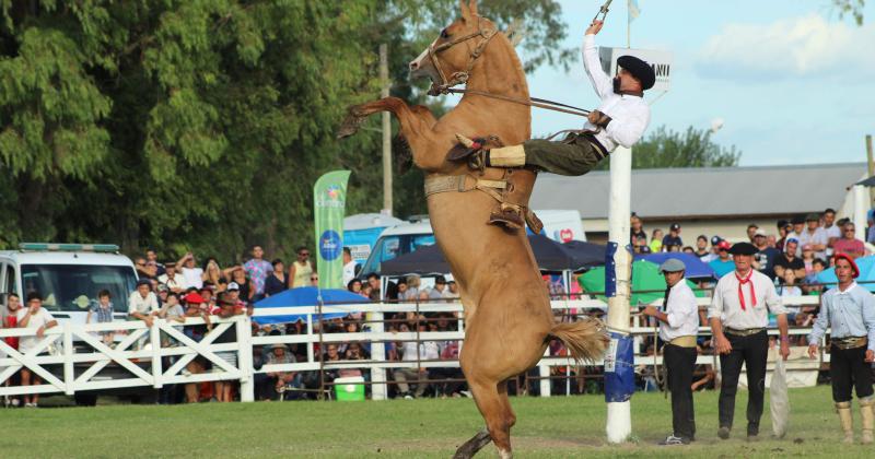 La jineteada por supuesto estar� presente en la Fiesta de los Tropilleros en la Sociedad Rural de Olavarría