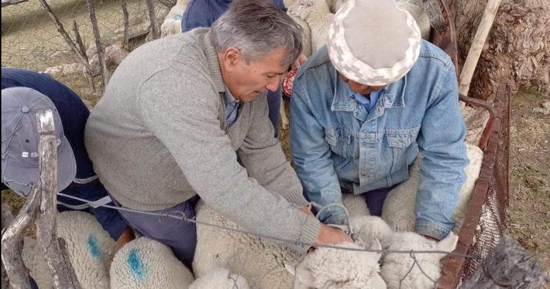 El Senasa realizoacute casi 4000 controles sanitarios en establecimientos de agricultura familiar