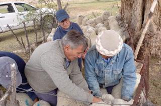 El Senasa realizoacute casi 4000 controles sanitarios en establecimientos de agricultura familiar