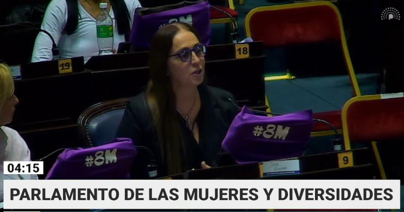 Ineacutes Creimer expuso en el Parlamento de las Mujeres y Diversidades en la Caacutemara de Diputados provincial 