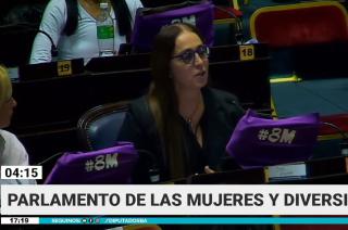 Ineacutes Creimer expuso en el Parlamento de las Mujeres y Diversidades en la Caacutemara de Diputados provincial 