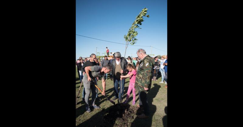 La Caacutempora y una plantacioacuten de aacuterboles para conmemorar Malvinas 