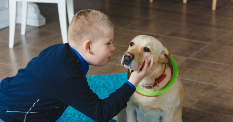 Terapia asistida con perros- el amor canino tiene mucho para aportar en el Trastorno del Espectro Autista