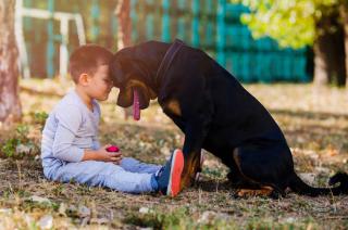 Terapia asistida con perros- el amor canino tiene mucho para aportar en el Trastorno del Espectro Autista