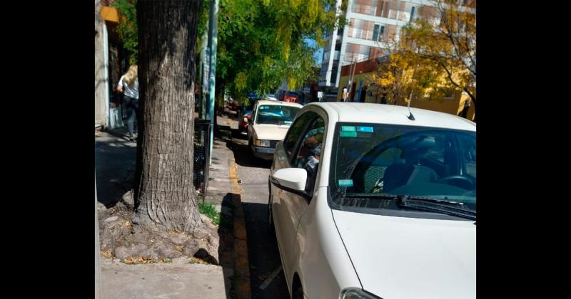 Una infraccioacuten que se repite- autos estacionados en paradas de micros