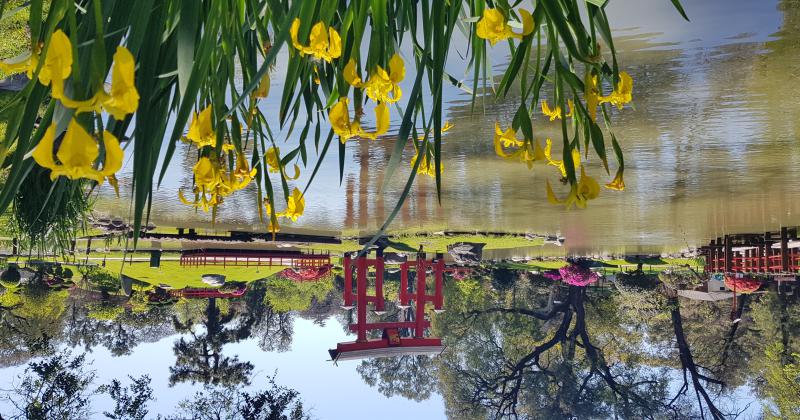 Viviacute la Semana Santa en el Jardiacuten Japoneacutes