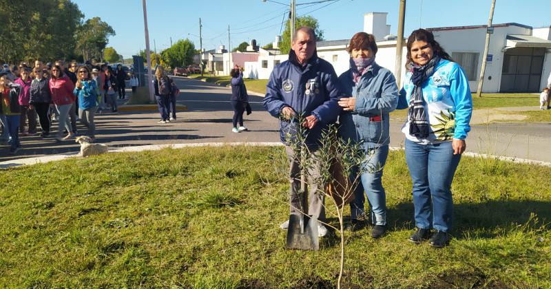 El excombatiente de Malvinas Raúl Fern�ndez plantó un olivo en la rotonda de Alberdi y Trabajadores como expresión de deseo de paz