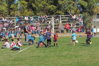 Se realizoacute el encuentro de escuelitas de fuacutetbol en Racing