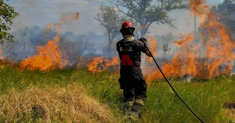 Los incendios tuvieron gran impacto la recuperación ha sido sorprendente