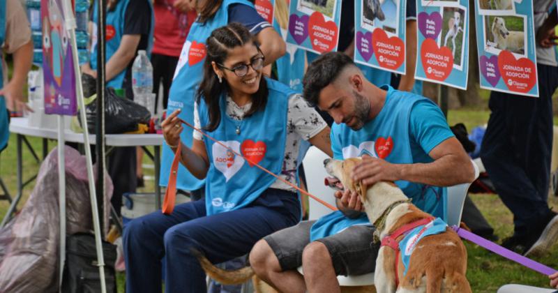 Viernes de Adopciones- jornada especial en el Parque del Bicentenario