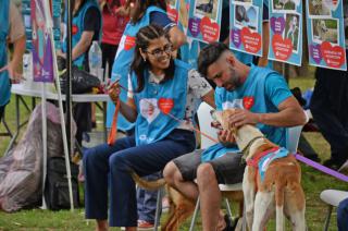 Viernes de Adopciones- jornada especial en el Parque del Bicentenario