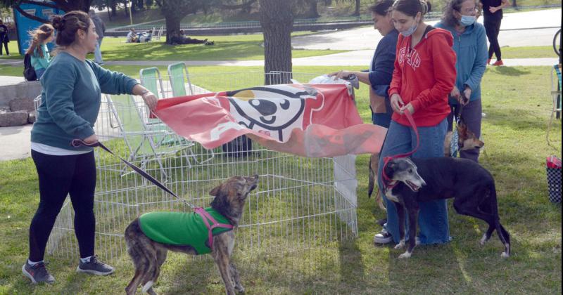 Adoptame Olavarría le dio vida al Parque del Bicentenario