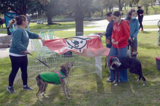 Adoptame Olavarría le dio vida al Parque del Bicentenario