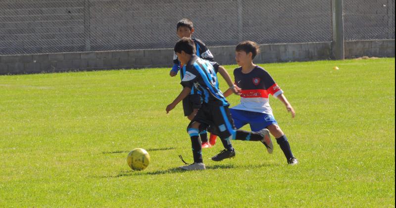 El s�bado se disputó una nueva fecha del torneo de divisiones formativa de la LLF