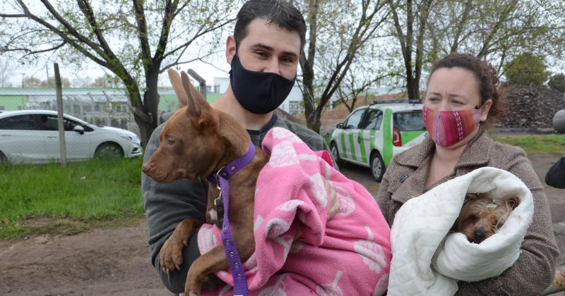 El Quirófano Veterinario Móvil estar en la Sociedad de Fomento 25 de Noviembre