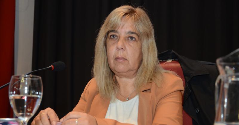 Krivochen aseguroacute que la eleccioacuten de delegados fue transparente e impecable