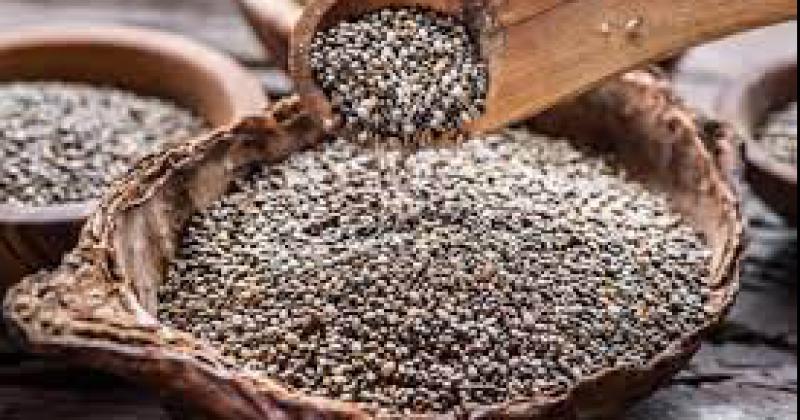 Semillas de chiacutea- cuaacuteles son los 4 beneficios que brinda este super alimento