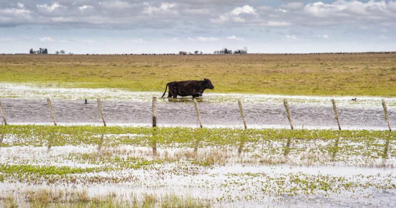 Informe de Carbap- hay casi 900 mil hect�reas afectadas por inundaciones en la provincia