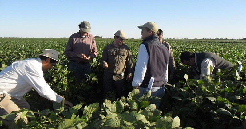 Agricultura digital- especialistas del INTA brindan herramientas gratuitas para calibrar los equipos