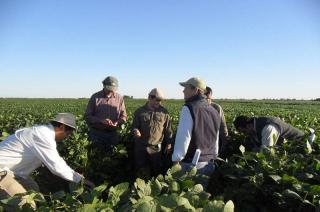 Agricultura digital- especialistas del INTA brindan herramientas gratuitas para calibrar los equipos