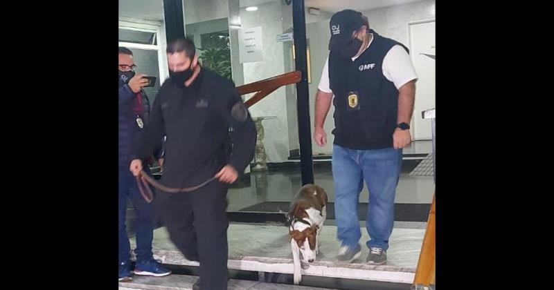 Un hombre torturoacute a su perra en el hall del edificio los vecinos lo denunciaron y quedoacute detenido