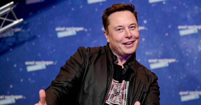 Elon Musk puso en suspenso la compra de Twitter- las acciones se derrumban