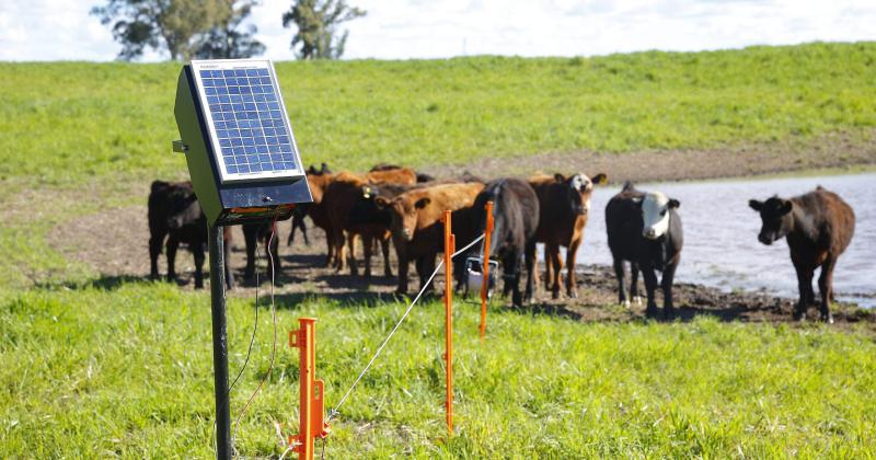 Campo y sustentabilidad- Donde no llegan los postes de luz aparece el boyero solar