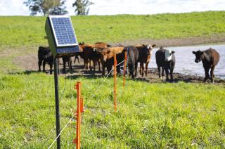 Campo y sustentabilidad- Donde no llegan los postes de luz aparece el boyero solar