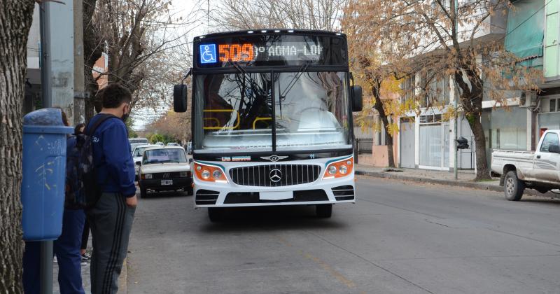 Se levantoacute el paro de colectivos 