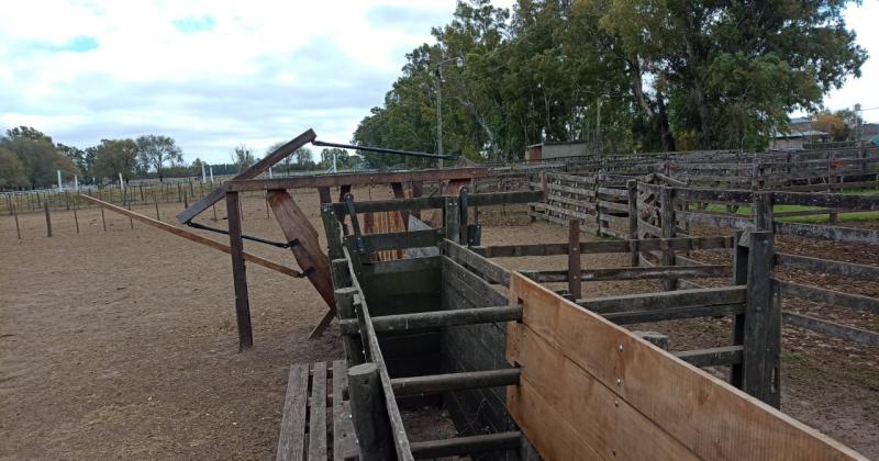 El local de remates feria de la Sociedad Rural fue habilitado por el Senasa