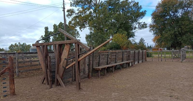 El local de remates feria de la Sociedad Rural fue habilitado por el Senasa