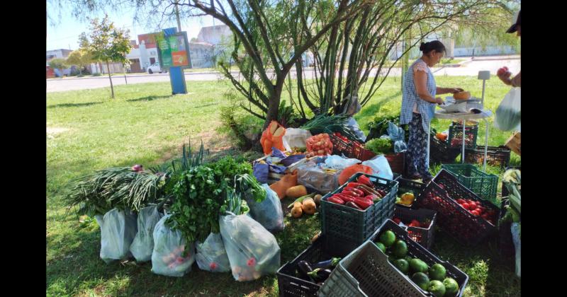 Feria de verduras del MTE Rural