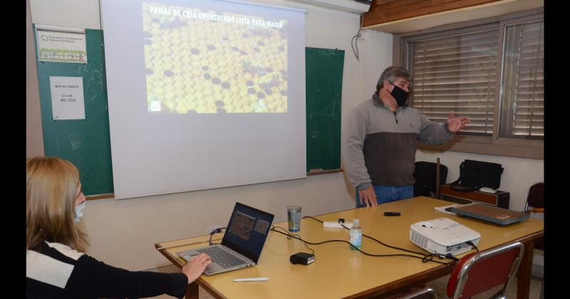 Semana de la Miel- en Olavarriacutea hay un total de 405 apiarios y 28120 colmenas