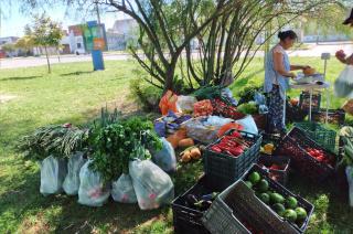 Feria de verduras del MTE Rural