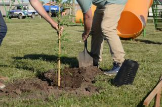 Se reprogramoacute la cuarta jornada de Replantando Olavarriacutea