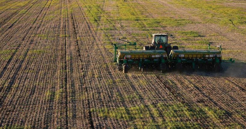 Comenzoacute la siembra nacional de trigo con la implantacioacuten de las primeras 350 mil hectaacutereas