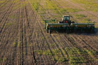 Comenzoacute la siembra nacional de trigo con la implantacioacuten de las primeras 350 mil hectaacutereas