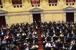 Diputados trabajoacute en medioambiente boleta uacutenica y Consejo de la Magistratura