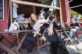 Bahiacutea Blanca quiere declararse pet friendly- iquestqueacute significa