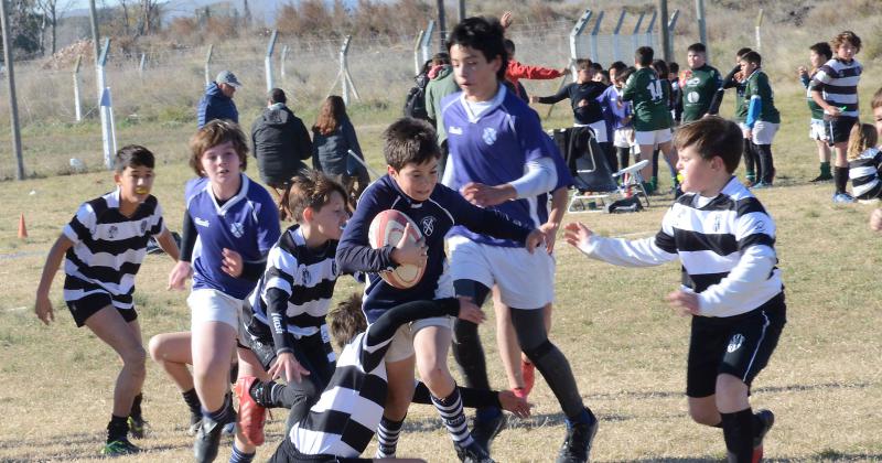 El Fortiacuten sede de un encuentro infantil