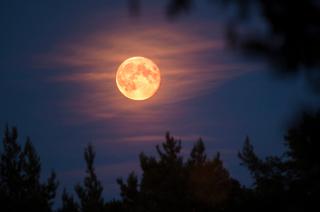 Coacutemo ver la Luna de Fresa la superluna de este martes