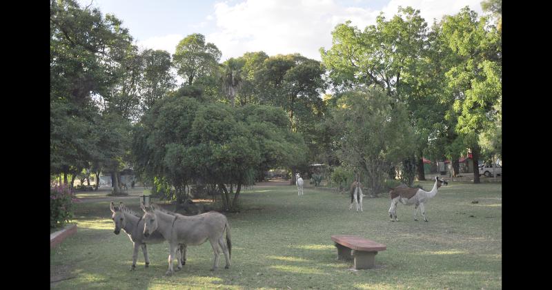 El Bioparque Municipal La Maacutexima el faro verde de la ciudad de Olavarriacutea