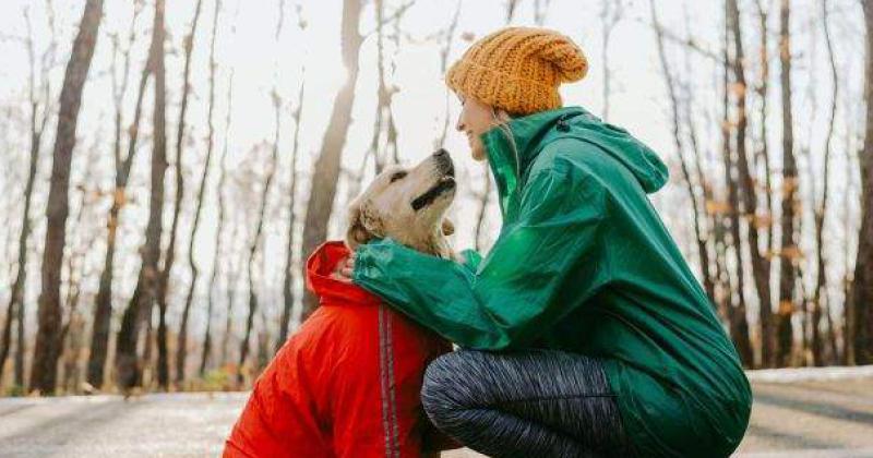 Invierno- las siete claves para proteger a tu perro del friacuteo